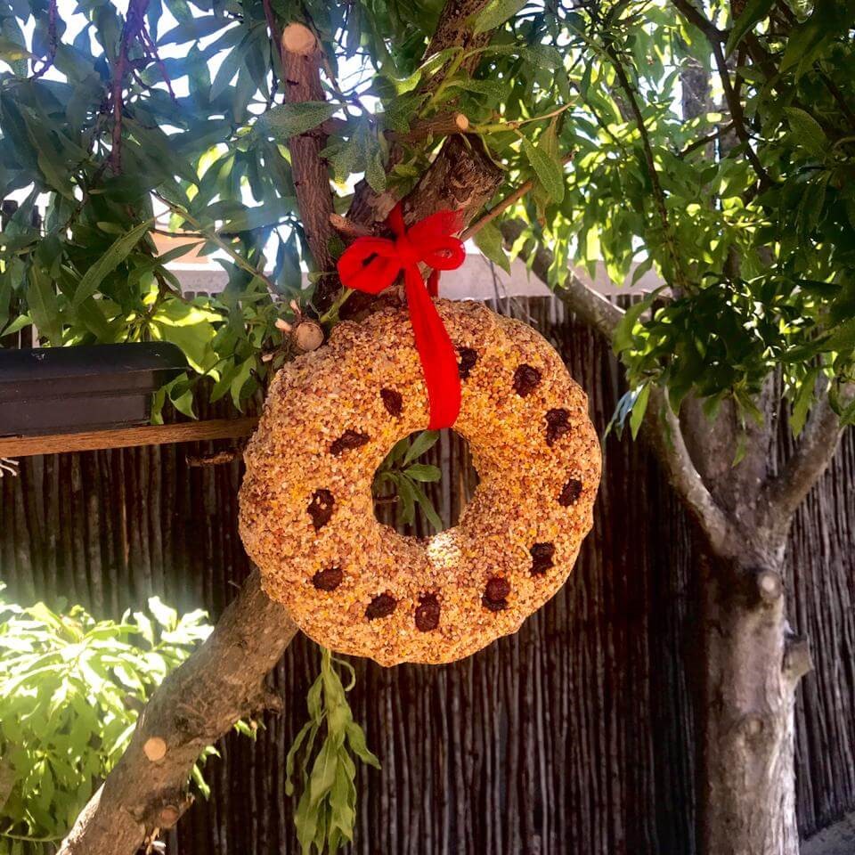 wild bird seed wreath; urban gardener