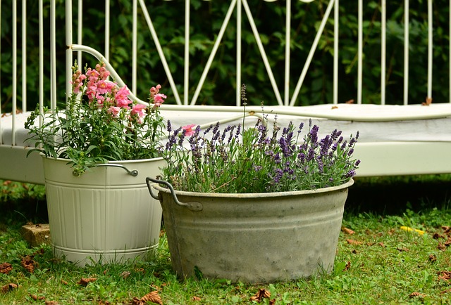 container gardening; urban gardener