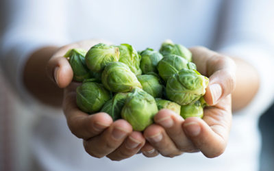 How to Grow Brussel Sprouts in Pots