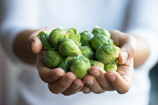 How to Grow Brussel Sprouts in Pots