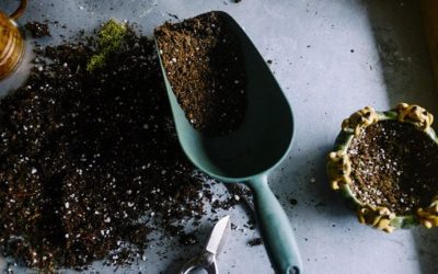 Kick-Ass Tips to Prep Soil for Your Vegetable Garden