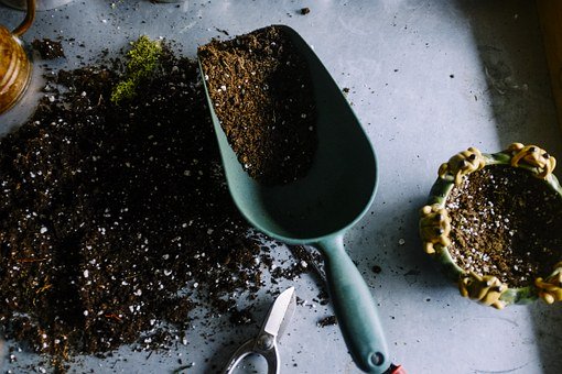 prep soil for vegetable garden