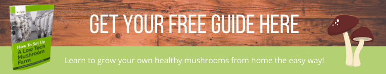 Get-your-free-mushroom-guide-banner