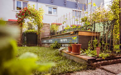 The Beginner’s Guide to Urban Gardening 2024