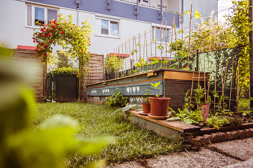 urban gardening