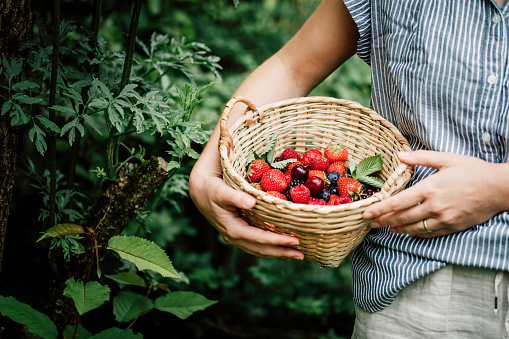 strawberries make great companion plants to blueberry plants