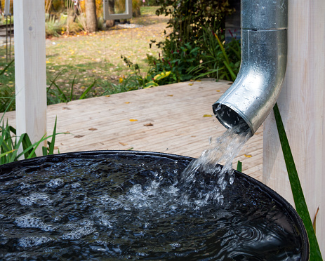 Green Your Garden with Green Watering