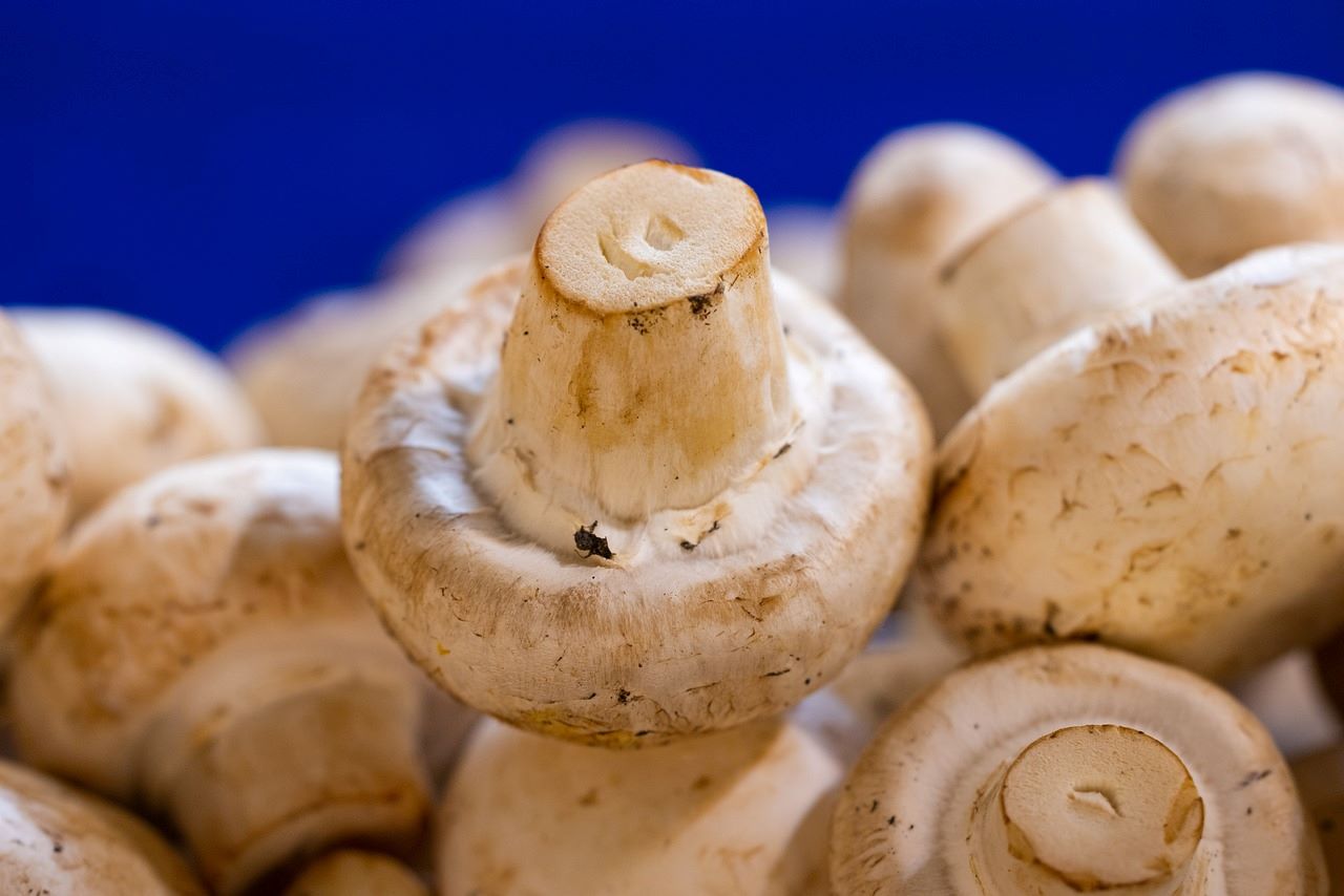 Button mushrooms