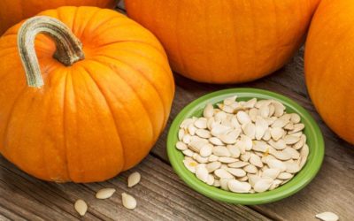 Pumpkin Seeds for Planting Bulk Pumpkin Plants