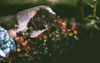 Winter Soil Preparation Made Easy on a Budget