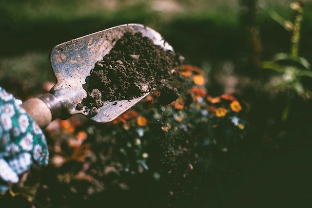 A garden spade digging through fresh soil