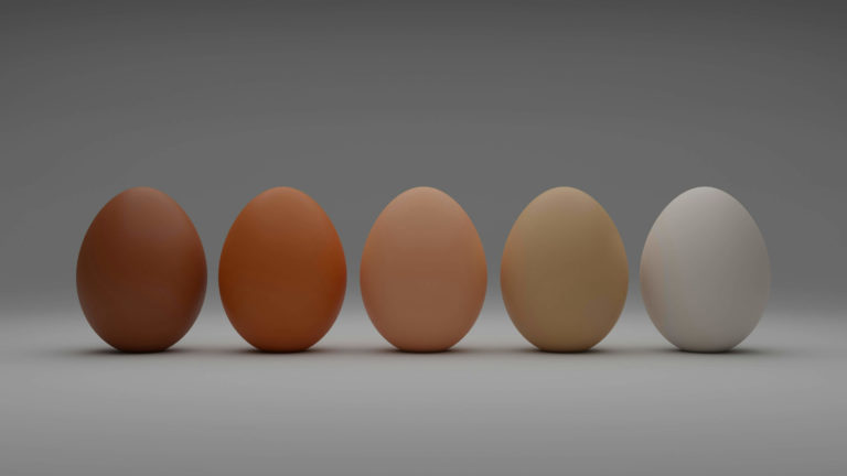 Different shades of eggs in a row