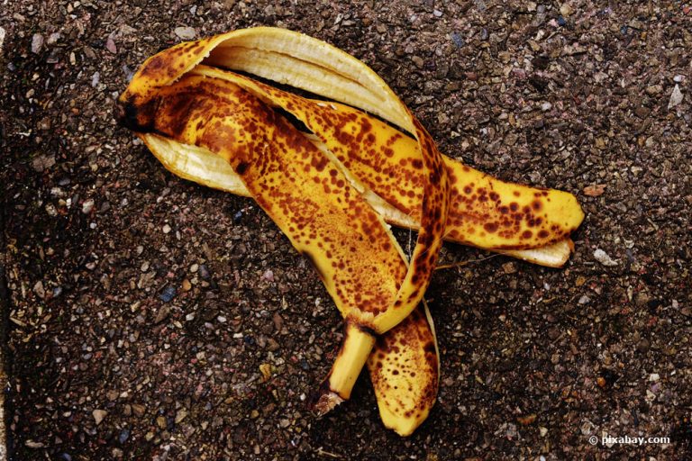 Banana peels on the soil