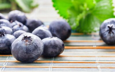 5 of the Best Ways to Store Blueberries