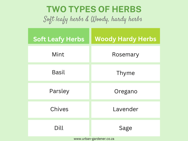 Table - soft and leafy vs woody and hardy